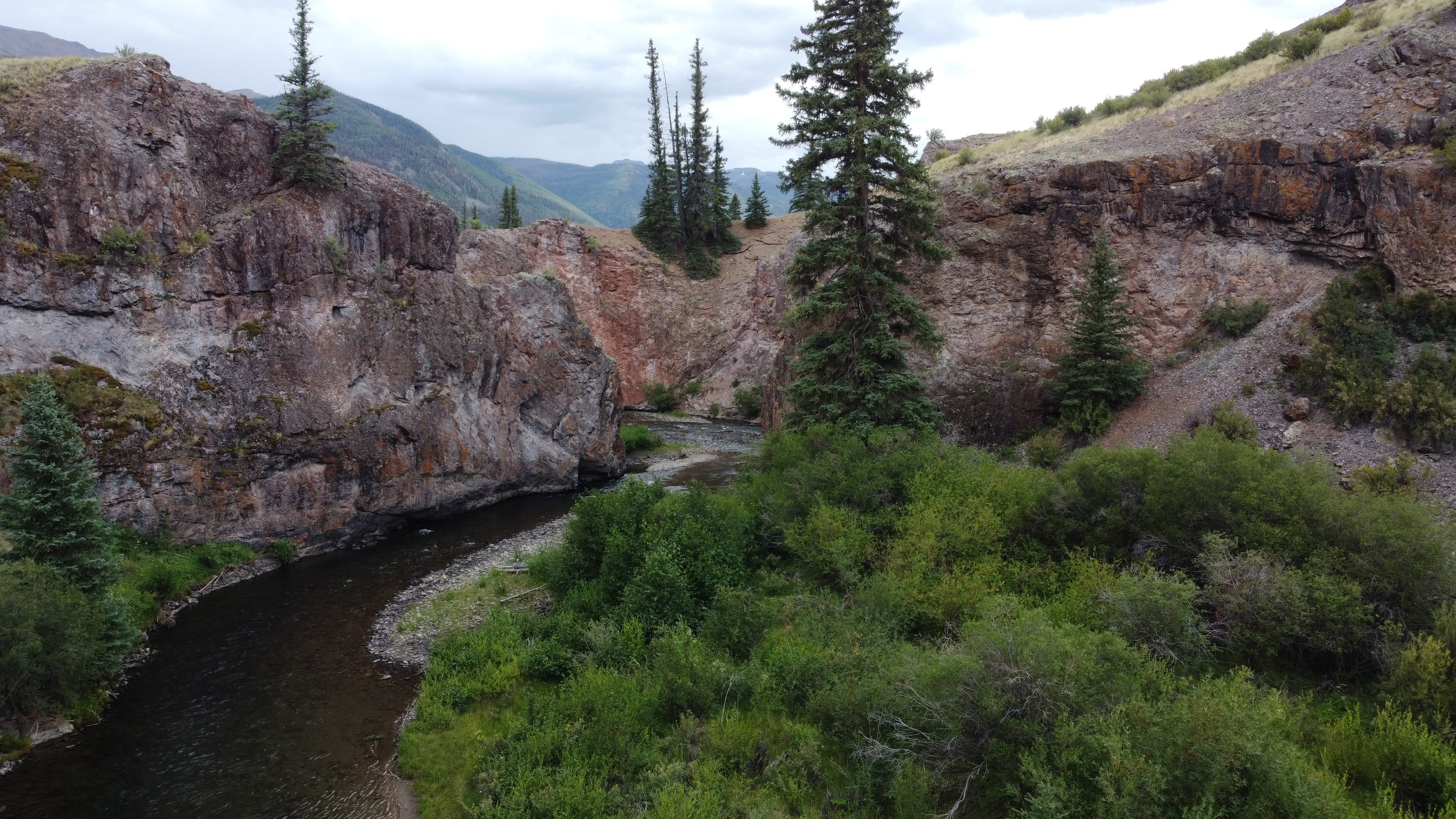 Aerial view of river gorge lined with pine trees