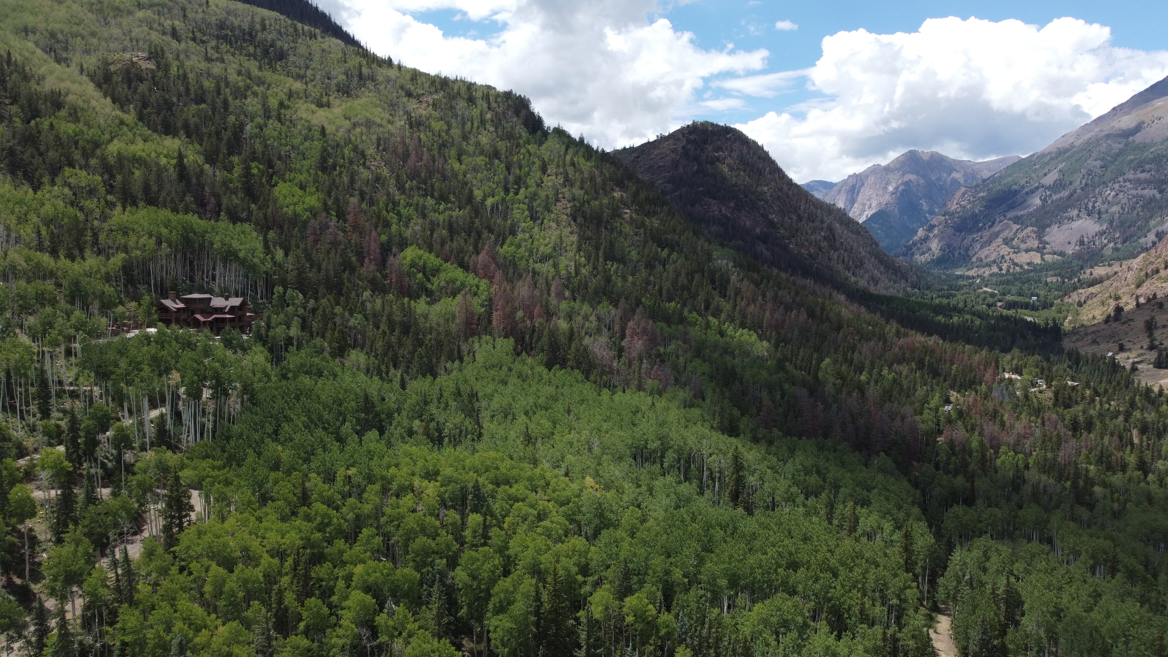 Drone shot of aspen-covered mountain hillside