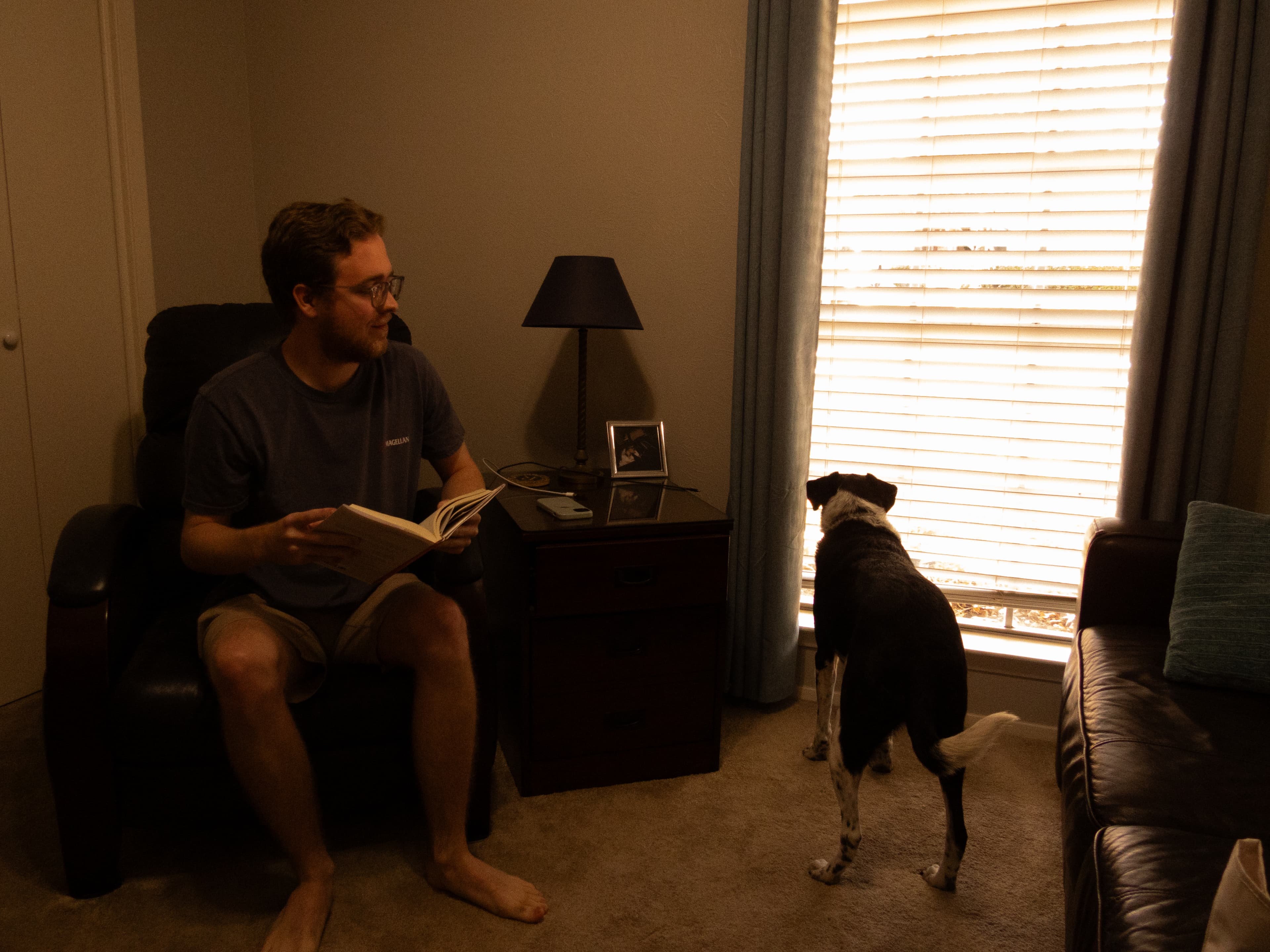 Reading while the dog keeps watch at the window