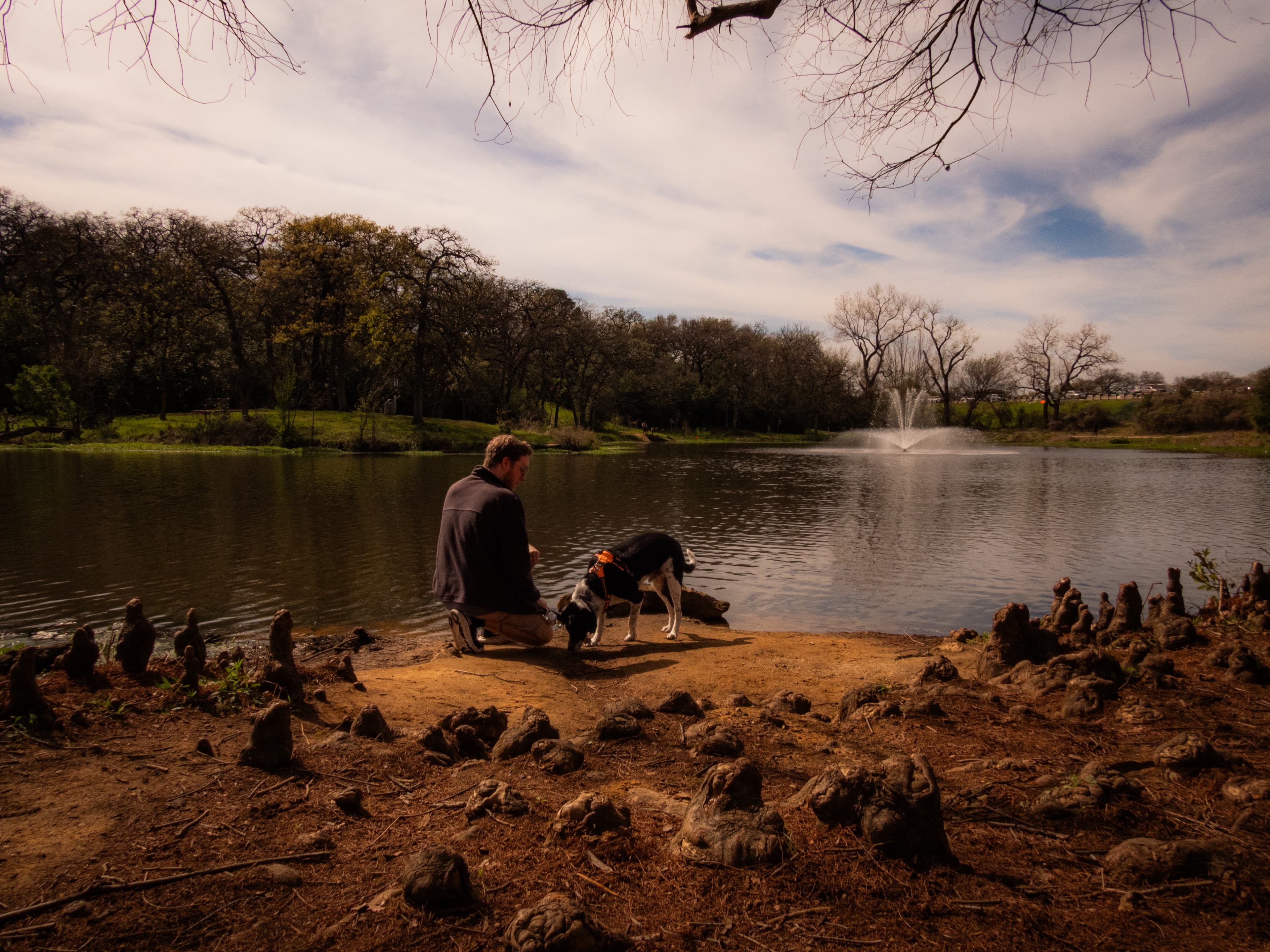 At the pond with the dog, fountain in the distance